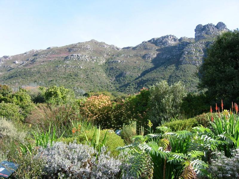 Kirstenbosch - 02