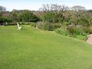 Kirstenbosch - 03
