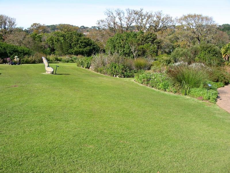 Kirstenbosch - 03