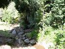 Kirstenbosch - 04