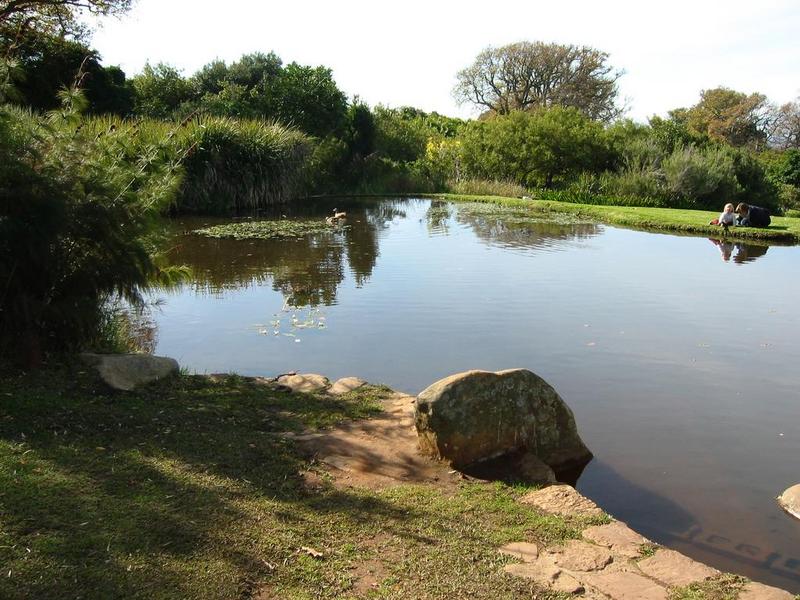 Kirstenbosch - 10