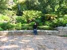 Kirstenbosch - 12