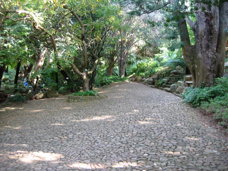Kirstenbosch - 13
