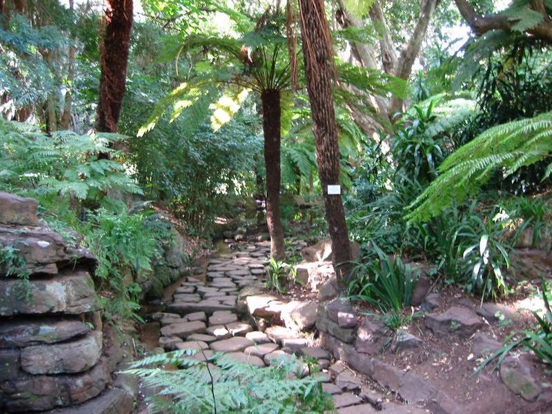 Kirstenbosch - 14
