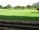 Kirstenbosch - 23