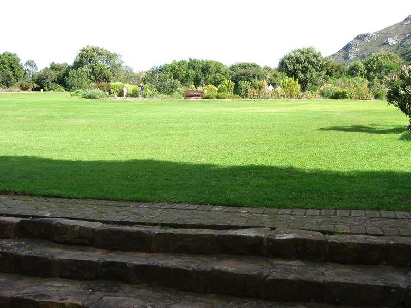 Kirstenbosch - 23