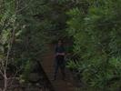 Kirstenbosch - 31