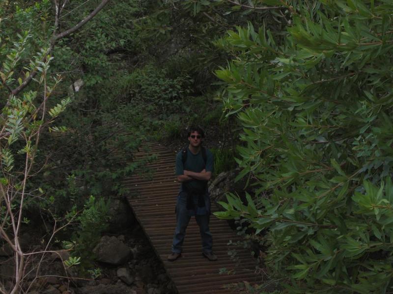 Kirstenbosch - 31