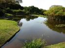 Kirstenbosch - 37