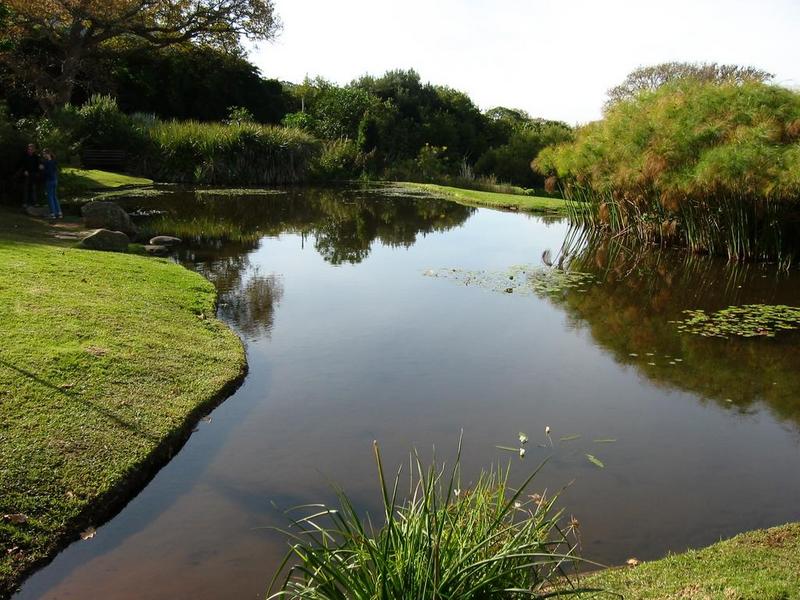 Kirstenbosch - 37