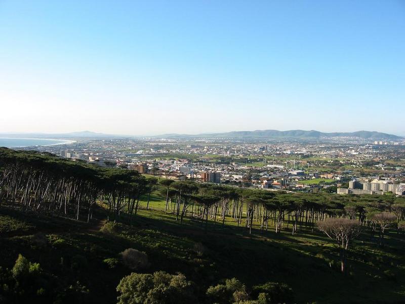 img 0093
