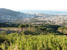 Table Mountain Sundowners - 01