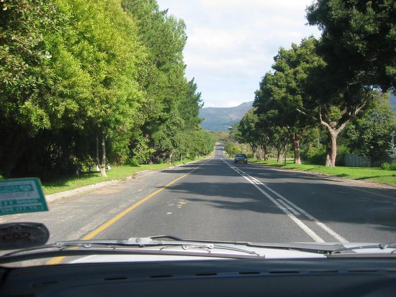 img 0029