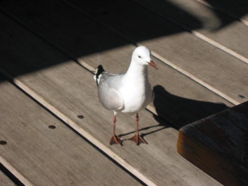 img 0086