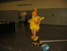 img 0120